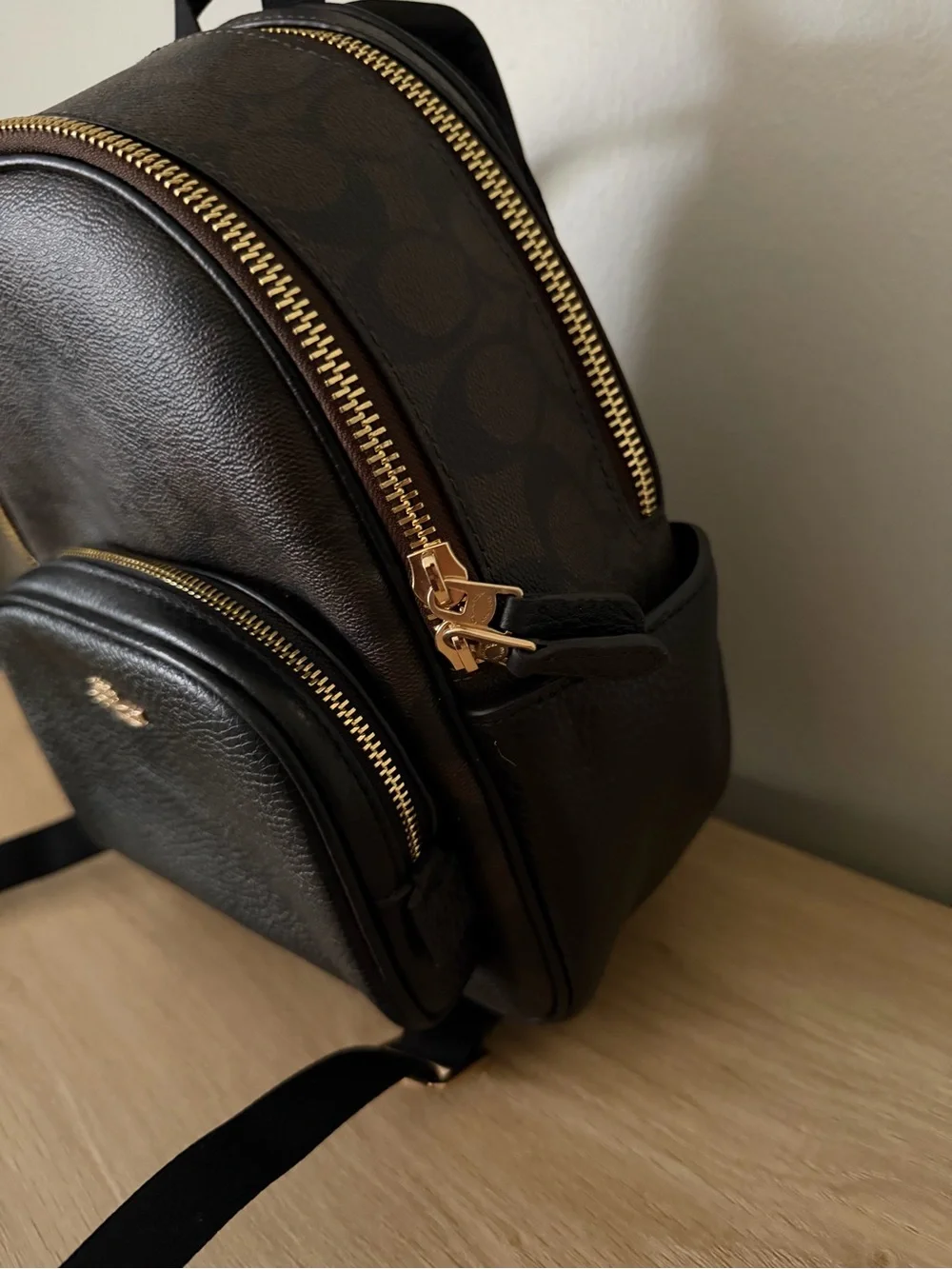 Coach Mini Backpack in Brown and Black with Gold Hardware